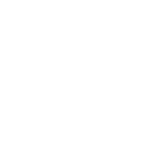 Constructeur TESLA