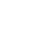 Constructeur LEXUS